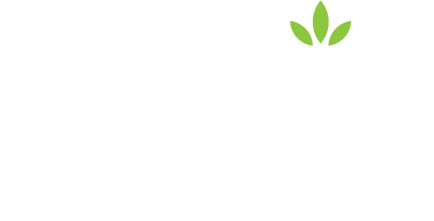 Kings Flora